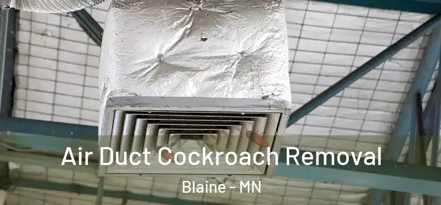  Air Duct Cockroach Removal Blaine - MN
