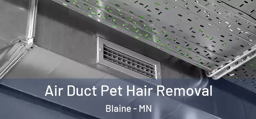  Air Duct Pet Hair Removal Blaine - MN