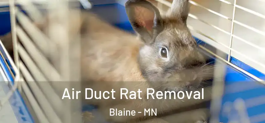 Air Duct Rat Removal Blaine - MN