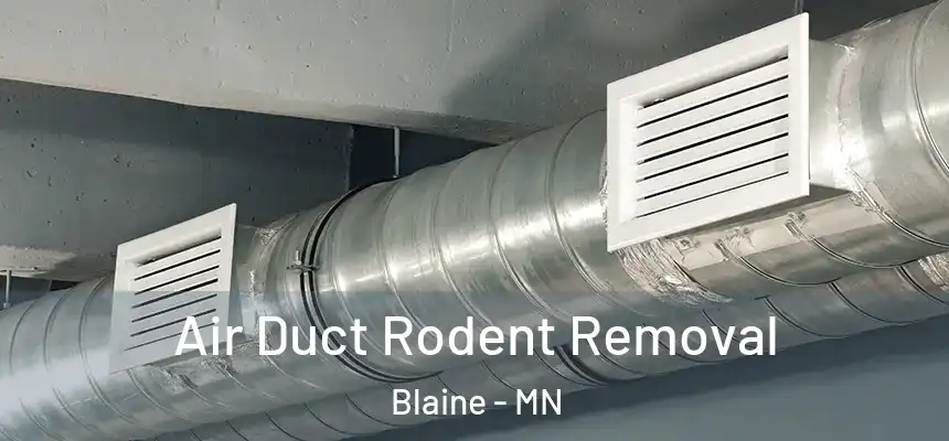 Air Duct Rodent Removal Blaine - MN