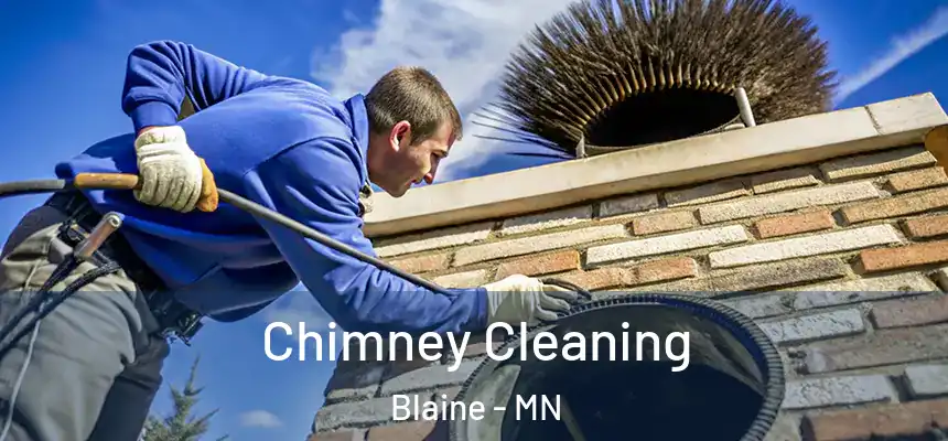  Chimney Cleaning Blaine - MN