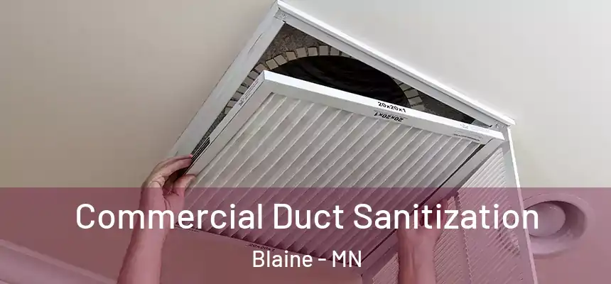 Commercial Duct Sanitization Blaine - MN