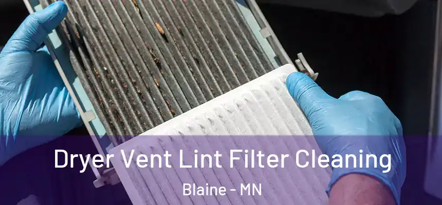 Dryer Vent Lint Filter Cleaning Blaine - MN