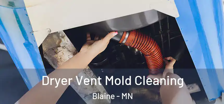 Dryer Vent Mold Cleaning Blaine - MN