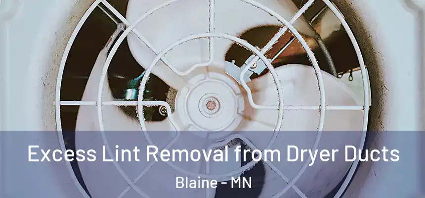 Excess Lint Removal from Dryer Ducts Blaine - MN