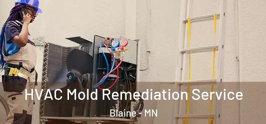 HVAC Mold Remediation Service Blaine - MN