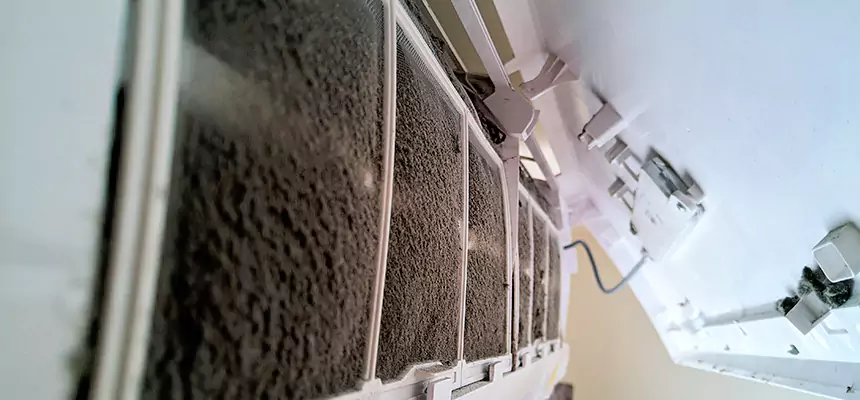 Preventive Air Duct Bacteria Removal in Blaine