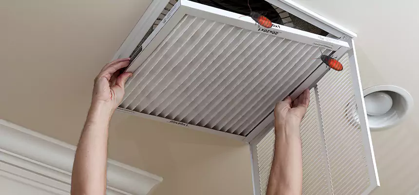 Our Insect Removal from Air Ducts Services in Blaine, MN