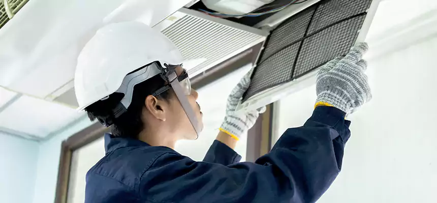 Our Mold & Mildew Removal from Air Ducts Services in Blaine, MN