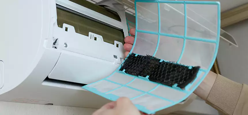 Gentle Ductwork Odor-Control Pet Dander Duct Cleaning in Blaine, MN