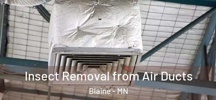 Insect Removal from Air Ducts Blaine - MN