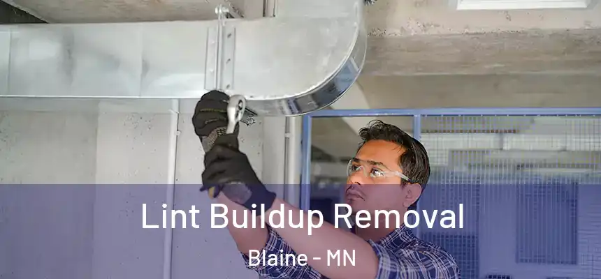 Lint Buildup Removal Blaine - MN