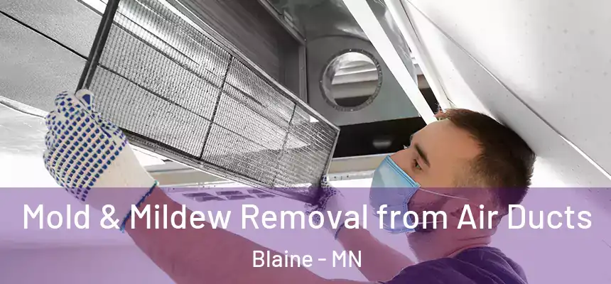 Mold & Mildew Removal from Air Ducts Blaine - MN