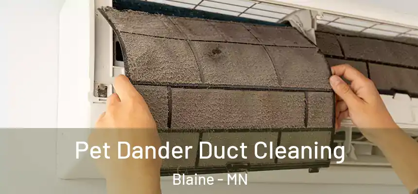 Pet Dander Duct Cleaning Blaine - MN