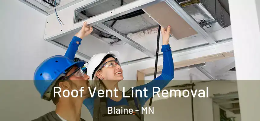 Roof Vent Lint Removal Blaine - MN