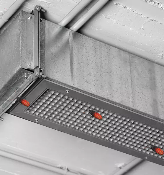 About Air Duct Cockroach Removal in Blaine, MN