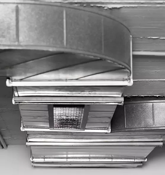 Professional Air Duct Pet Hair Removal in Blaine, MN