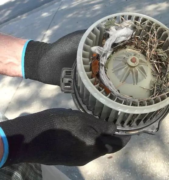 About Air Duct Rat Removal in Blaine, MN