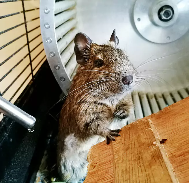 Why Homeowners & Businesses Trust Us Blaine, MN