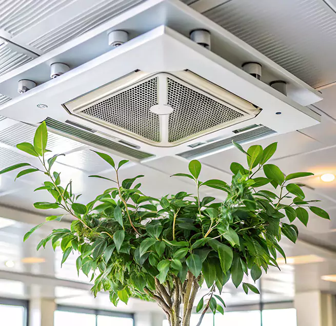 Why Homeowners & Businesses Trust Us in Blaine, MN?