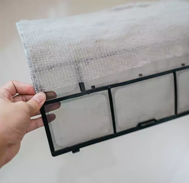 Why Homeowners & Businesses Trust Us in Blaine, MN?