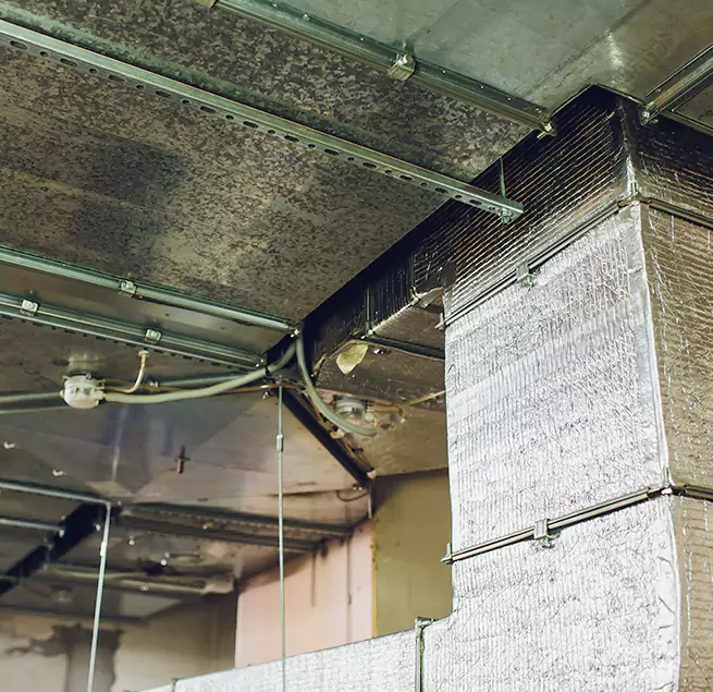 Why Homeowners & Businesses Trust Us in Blaine, MN?