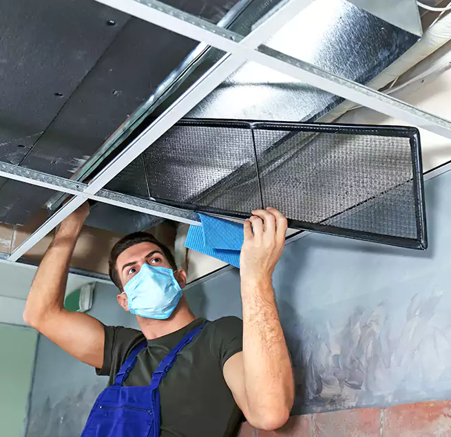 Why Homeowners Businesses Trust Us in Blaine, MN